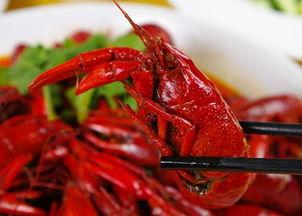 龙虾最新爆料新闻内容 第2张 龙虾最新爆料新闻内容 第2张